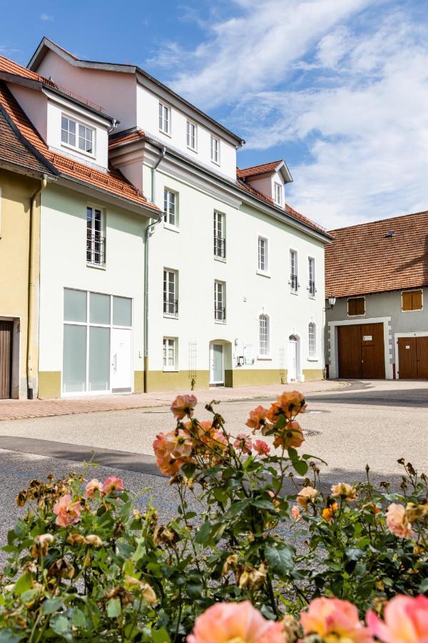 Appartement Braviscasa - Ferienresidenz Kenzingen Europa Park Extérieur photo